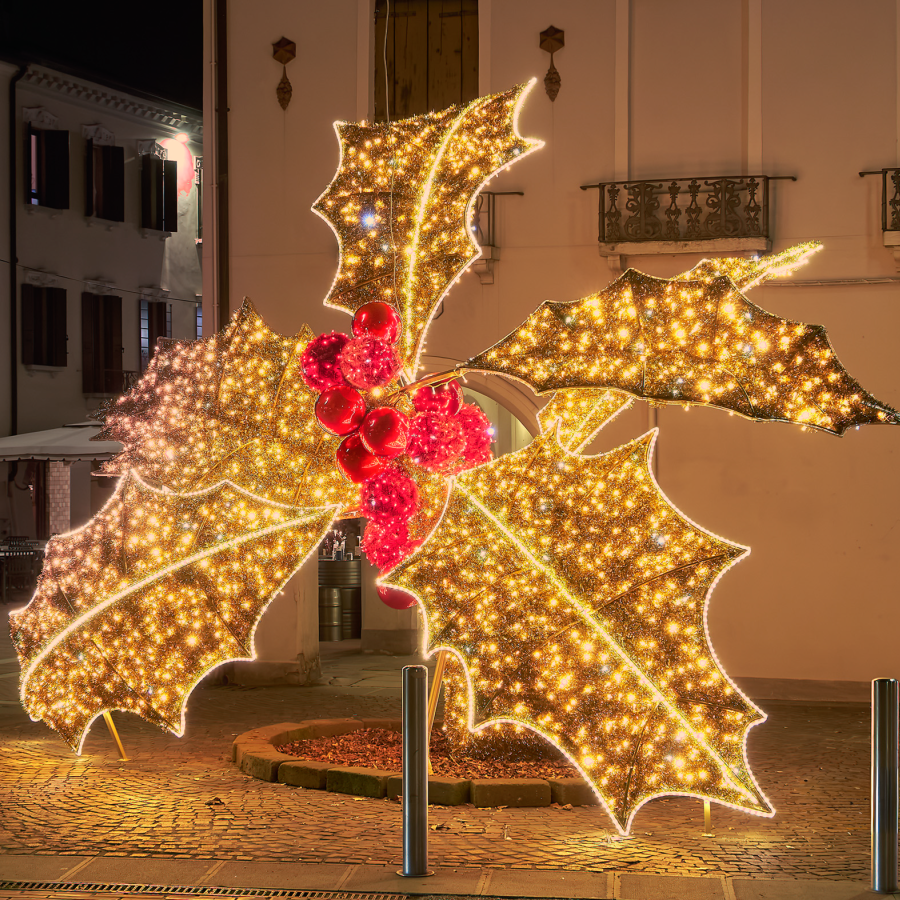 agrifoglio luminoso